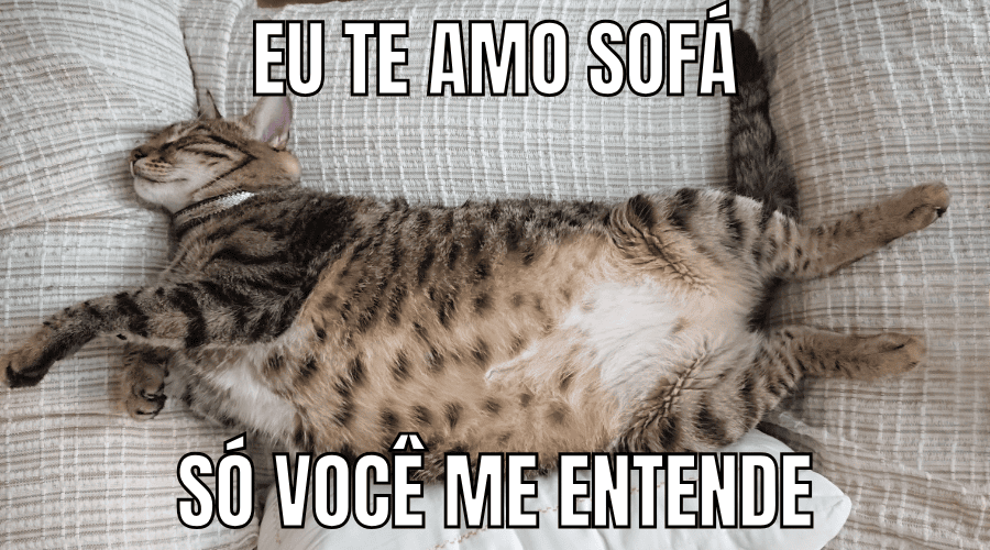 OzenVitta funciona
